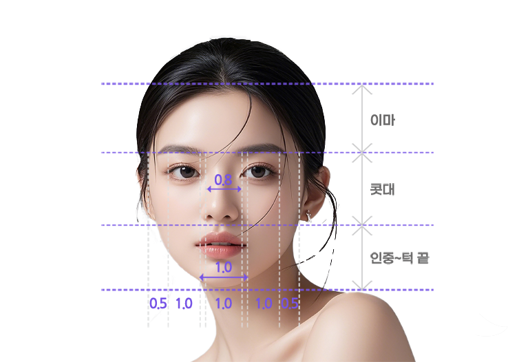 Proporsi hidung ideal — Diagram pengukuran proporsi horizontal·vertikal wajah (1:1:0.8)