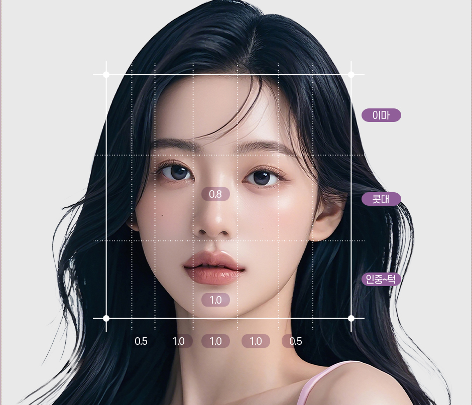 Diagram analisis proporsi wajah ideal