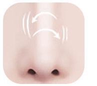 Ilustrasi hidung dengan implan yang bergerak