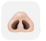 Ilustrasi hidung dengan ujung hidung tertekan